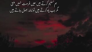 Shaiarey