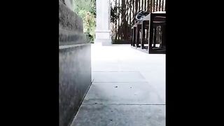Funniest animals