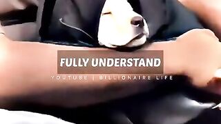 True meaning of love #love #true #dogs #motivational #febspot