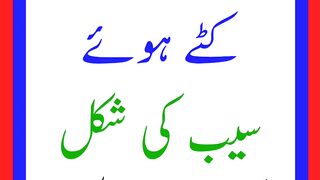 Paheliyan In Urdu