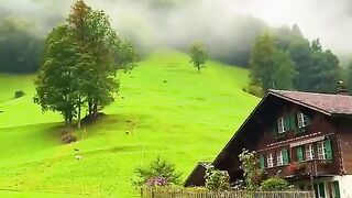 Nice place Nice Home Green mountain so beatiful
