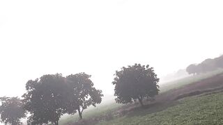 Nature ❤️