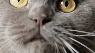 When My girlfriend see food