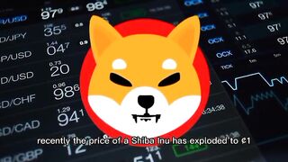 Robinhood-AMC just flipped on Shiba inu