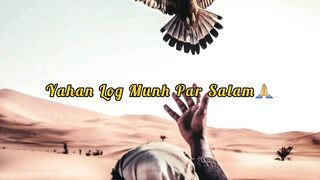 Ye Duniya Hai Janab | Urdu Shayari Poetry Whatsapp Status Shorts Video