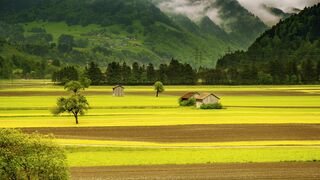 My home town پاکستان