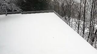 A beautifull snow fall