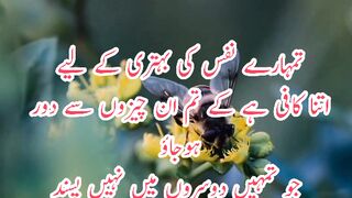 Motivational Quotes ????