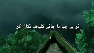 John elia poetry ✨️ ???? poetry status/ Sad poetry ????