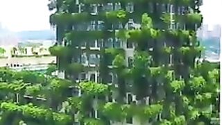 تلاوت