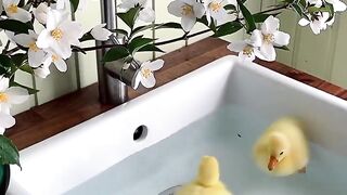 funny chuza | memes videos | subscribe