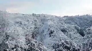 snow fall 2023