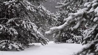 Best love poetry with lovely snowfalling