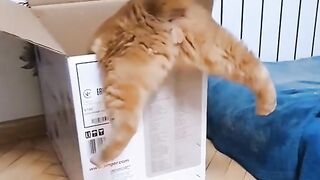Very funny clip #funny
