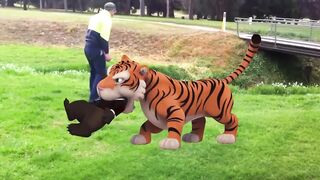 100 Outrageous Animal Moments Caught On Camera.