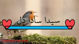 Yeh dunya hamaray Liye bani he nhe,#febspot,#Lovelyeagles1