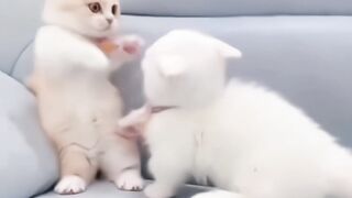 Soo sweet ????????