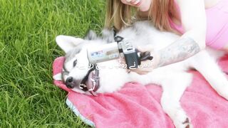 Funny dog