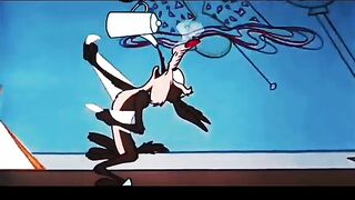 Funny video from Tik Tok