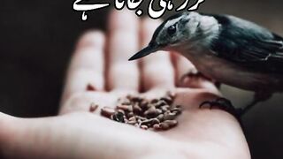 Poetry