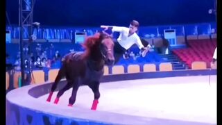 Amazing Riding ????
