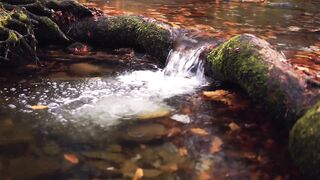 Relaxing Music For Seclusion And Peace Of Mind With Magical Natural View.