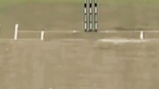 cricket pakistan vs india 1990