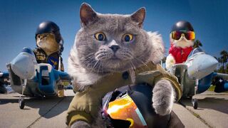 Top Gun with Cats.