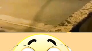 Very Funny cow ???? ????