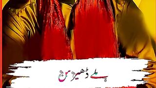 Ahmed Nawaz cheena Songs ❤️