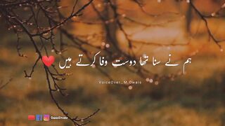 Hum Ney suna tha Dost wafa karty hein