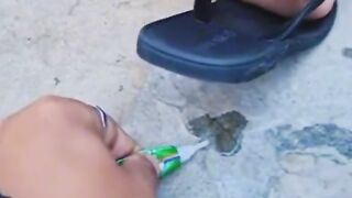 funny video