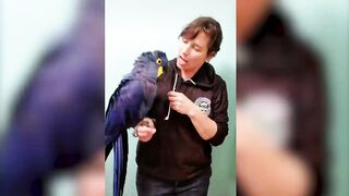BIRDS TALKING LIKE HUMANS.