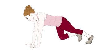 Belly Fat
