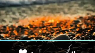 Amazing quotes line ????#viral #qoutes