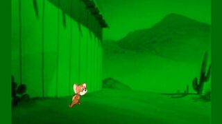 tom and jerry cartoon