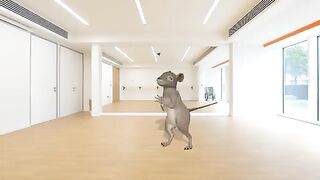 funny rat dance