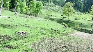 BEAUTY OF PAKISTAN