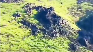Arab greanly mountain 2023 / LitelTv