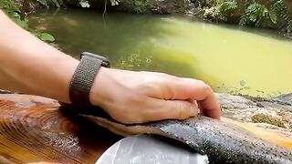 Best cocking Must Watch Frying Fish