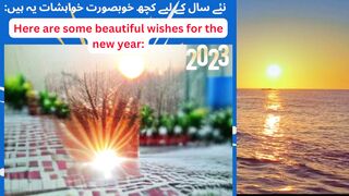 Beautiful Wishes for 2023.