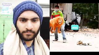Funny video
