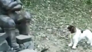 Funy#18#virl#video...