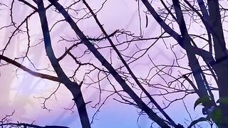 Natural beauty of sunset