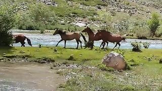 Nature Lovers | Beauty of Pakistan
