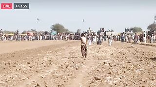 Bull race in pakistan