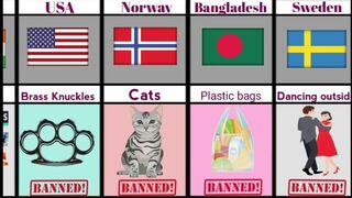 Top 30 things banneds from different countries in 2023
