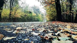 Deep Relaxing song _Rain, Close Eye and use handphone