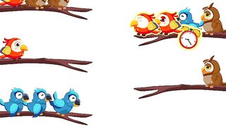 Bird sort color level 34