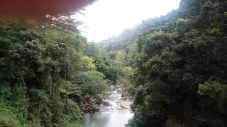 Nature is Medicine